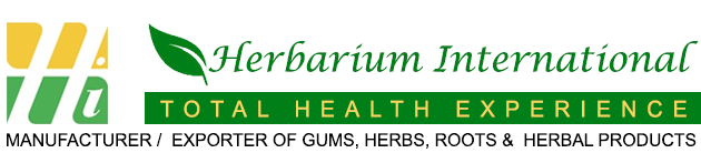 Herbarium Logo